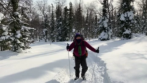 A man with a backpack and ski poles walks along a snowy path Stock Footage 179350080
