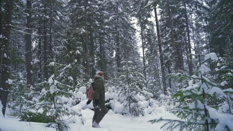 A man with a backpack carries a sleigh through the winter forest.  Stock Footage 164402722