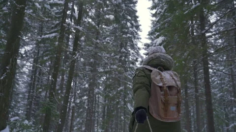 A man with a backpack carries a sleigh through the winter forest.  Stock Footage 164402878