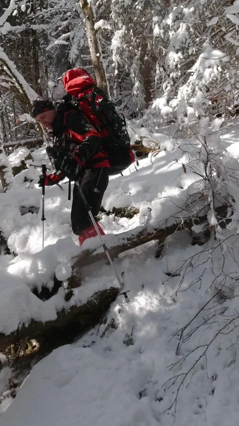 Man with a backpack climbs over a fallen tree onto the trail. Video stock 220411939