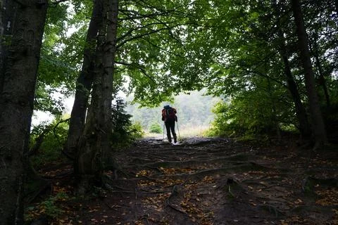 A man with a backpack comes out of the dark forest into the light along a dir Foto stock