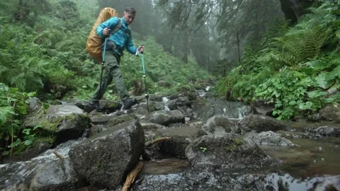 A man with a backpack crosses a mountain river in a green forest on stones Stock Footage 218439527