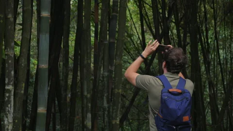 Man with backpack exploring dense bamboo forest, taking photos with Stock Footage 281275617