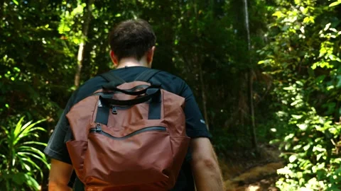 Man with backpack exploring lush green forest, concept of adventure Stock Footage 258578764