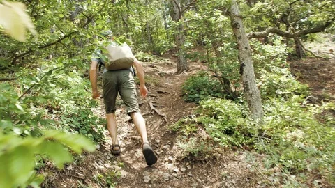 Man with a backpack goes through the forest in the mountains Stock Footage 118982610