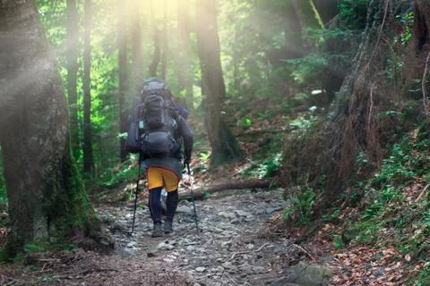 Man with a backpack going down by the beatifull magic forest pathway Stock Photos
