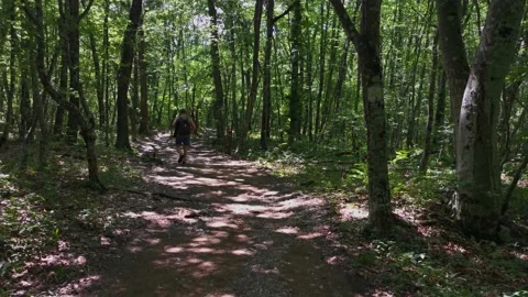 Man backpack green forest Video stock 168881966
