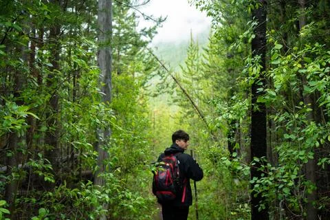 Man with backpack hikes through lush green forest Stock Photos