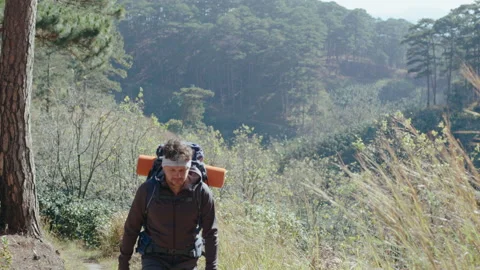 Man with Backpack Hiking Alone in Nature Stock Footage 237280393