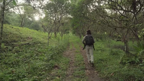 Man with backpack hiking on a green forest trail in nature Video stock 345024148