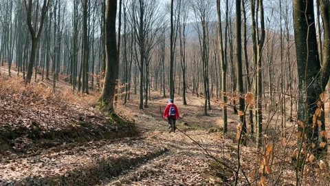 A man with a backpack hiking the mount. Early spring forest. Stock Footage 151649511