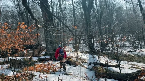 A man with a backpack hiking the mount. Early spring forest. Stockbeeldmateriaal 151649531