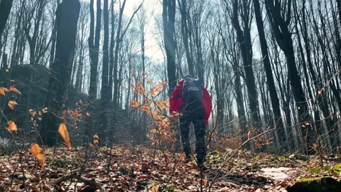A man with a backpack hiking the mount. Early spring forest. Stock Footage 151649532