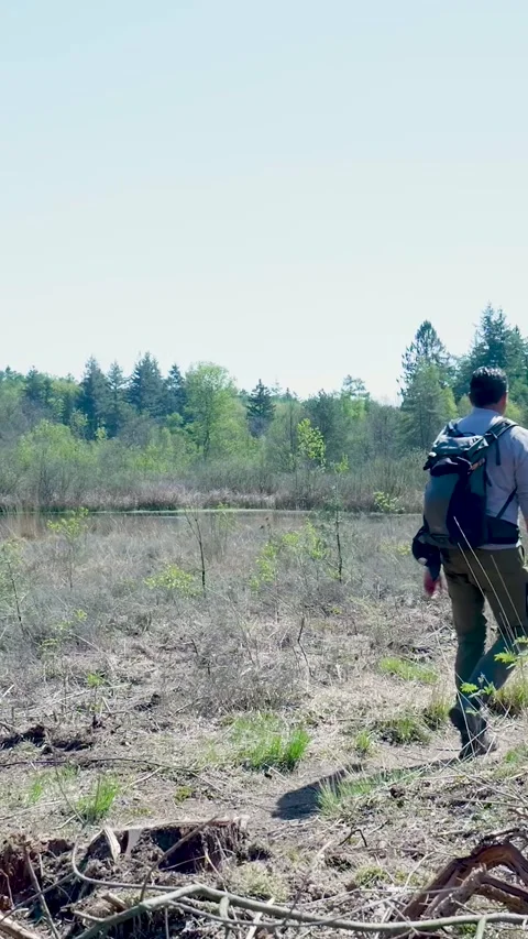 Man With Backpack Hiking Through Forest Glade In Summer Видео 335476988