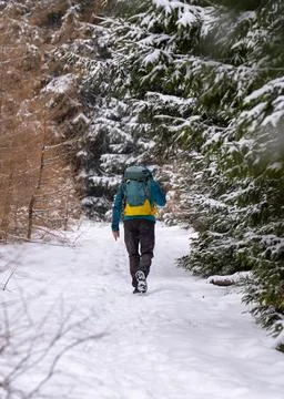 Man with a backpack hiking through winter forest covered in snow. Snowy trees Foto stock