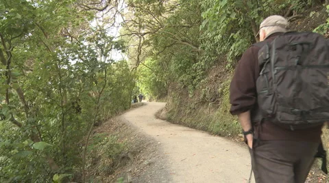 Man with backpack on hiking track Stock Footage 949311