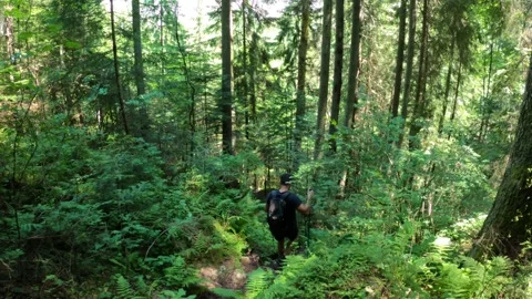 Man With Backpack Hiking Trough Green Dense Forest Stock Footage 157351924