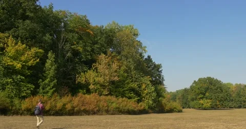 Man With Backpack On His Back Tourist Slowly Walks On The Dry Grass Park Area Stock Footage 56064638