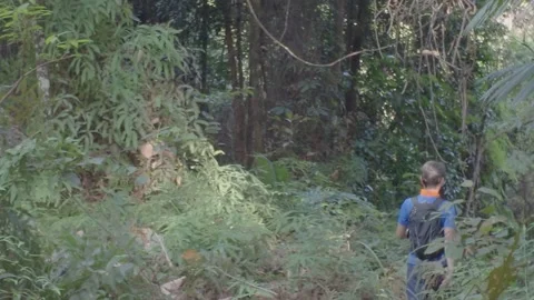 A man with a backpack makes his way along a dirt path in the forest. Vidéo 341801733