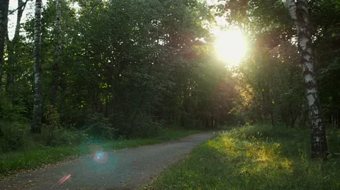 Man with backpack is riding the bicycle away by park alley, Autumn,Sunset Stock Footage 67046852
