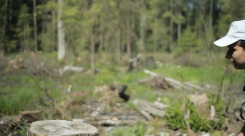 A man with a backpack sits on an old stump of a tree. Clicks on the phone Stock Footage 64428428