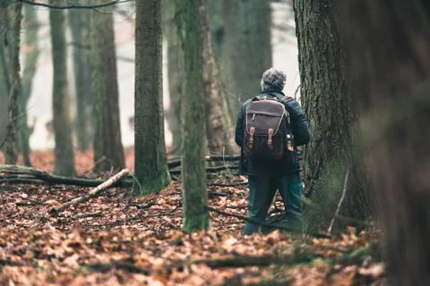 Man with backpack standing between trees in forest. Stock Photos