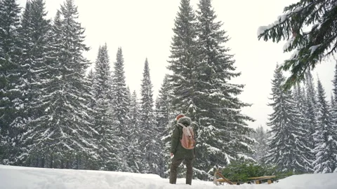 A man with a backpack is standing in a snowy forest.  Stock Footage 164404888