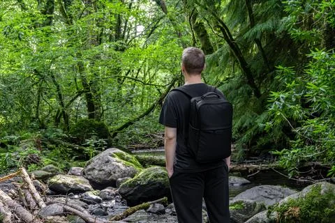A man with a backpack stands next to a stream in the woods Stock Photos