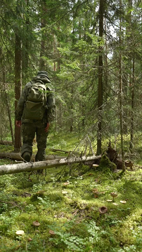 Man with a backpack stepping over a fallen tree trunk Stock Footage 340653421
