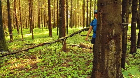 A man with a backpack strolls through the forest on a sunny day. Stock Footage 93906288