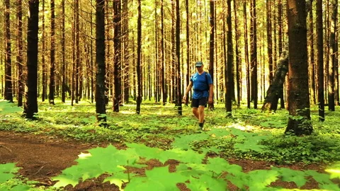 A man with a backpack strolls through the forest. 库存影片 94039304