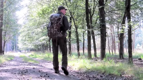 Man with backpack in the summer forest is looking for red deer and wild boar Stock Footage 266247702