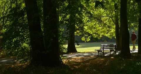 Man With Backpack Tourist is Walking Slowly by Park Alley Walking by the Bench Stock Footage 55545121