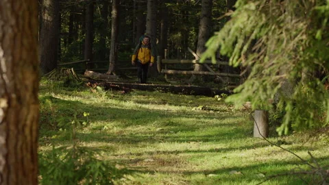 A man with a backpack travels in the forest Stock Footage 142070398