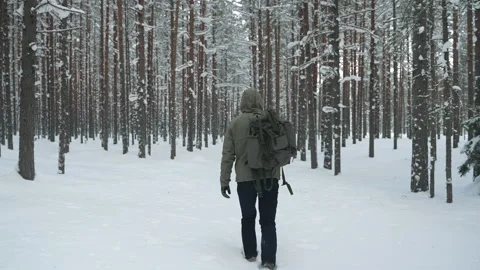 A man with a backpack travels through the forest in winter. Video stock 168088463