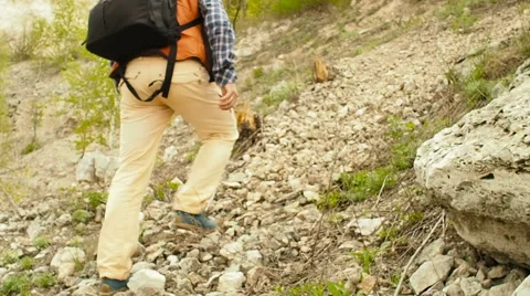 A man with a backpack walk uphill the forest trail . Video stock 62795899