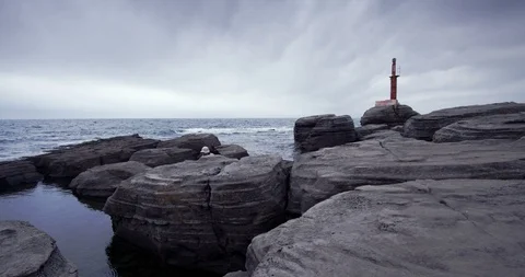 A man with a backpack walkig along the coast. Asia, far East, the sea of Japan Stock Footage 100779998