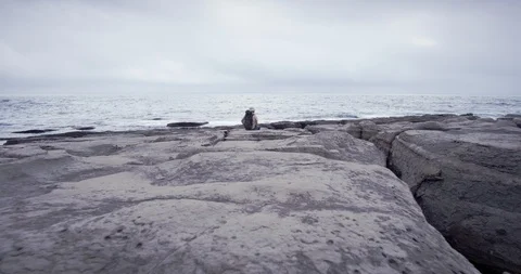 A man with a backpack walkig and taking a photo, Pacific, Steadycam Видео 100818732
