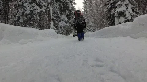 Man With a Backpack is Walking Along a Snowy Road in the Mountains Stock Footage 101637659