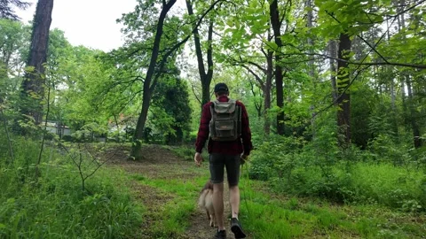 Man with backpack walking Australian Shepherd dog on a green forest trail during Stock Footage 319894549