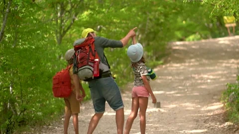 Man with backpack walking with boy and girl at road in mountains. Travel Stock-Footage 140904013