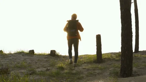 Man with backpack walking in the forest. View from back. Steadycam shot. Stock Footage 106749561