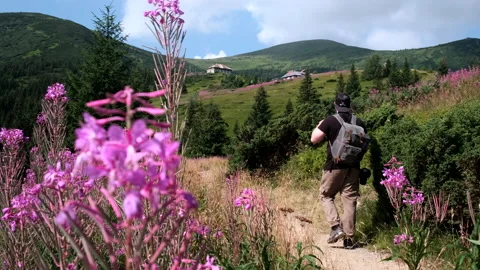 Man with backpack walking by mountain trail Stock Footage 229630992