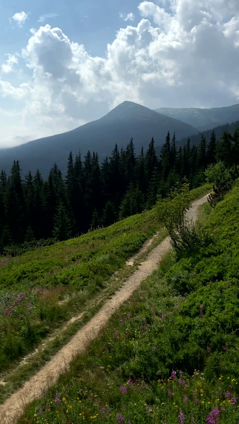 Man with backpack walking by mountain trail Stock Footage 229632023