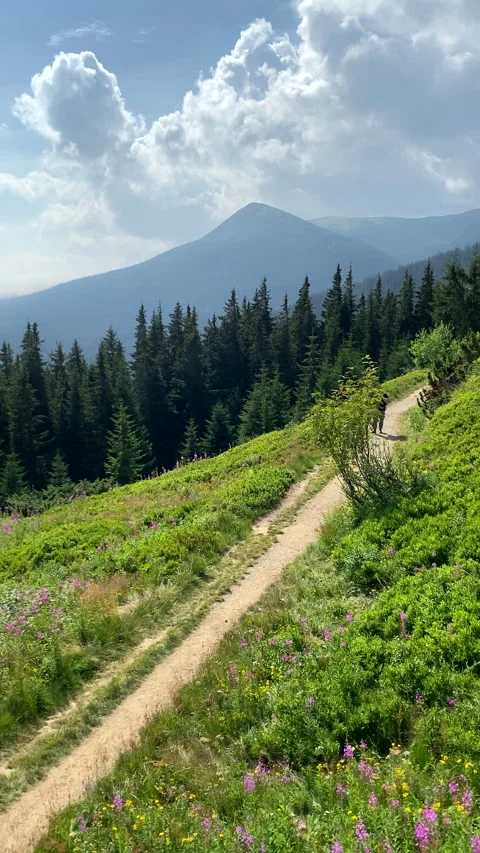 Man with backpack walking by mountain trail Stock Footage 233498703