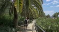 Man with backpack walking in Park Guell, Barcelona 4k or 4k+ Resolution