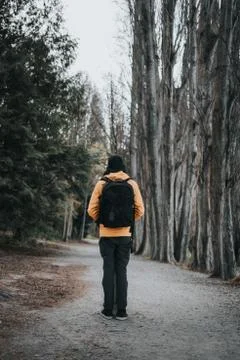 Man with backpack walking in the park. 库存照片