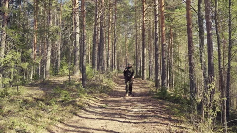 A man with a backpack walking in a pine forest in summer. Beautiful Finnish Video stock 194697941