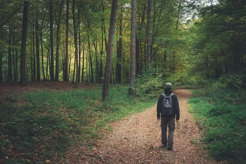 A man with a backpack walking through the forest Stock Photos