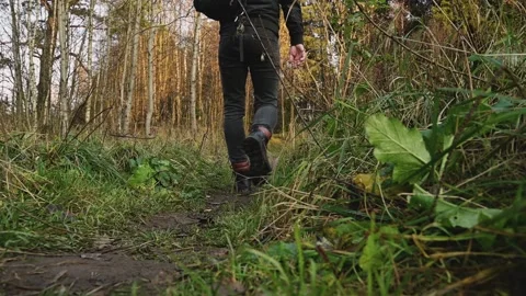A man with a backpack walking on a trail in the autumn forest at sunset. Nature Stock Footage 142297653